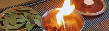 7 benefícios da queima das folhas de louro para sua vida