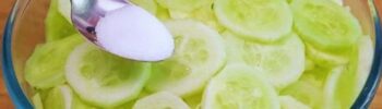 Salada de Pepino chinês com Iogurte e Queijo Branco