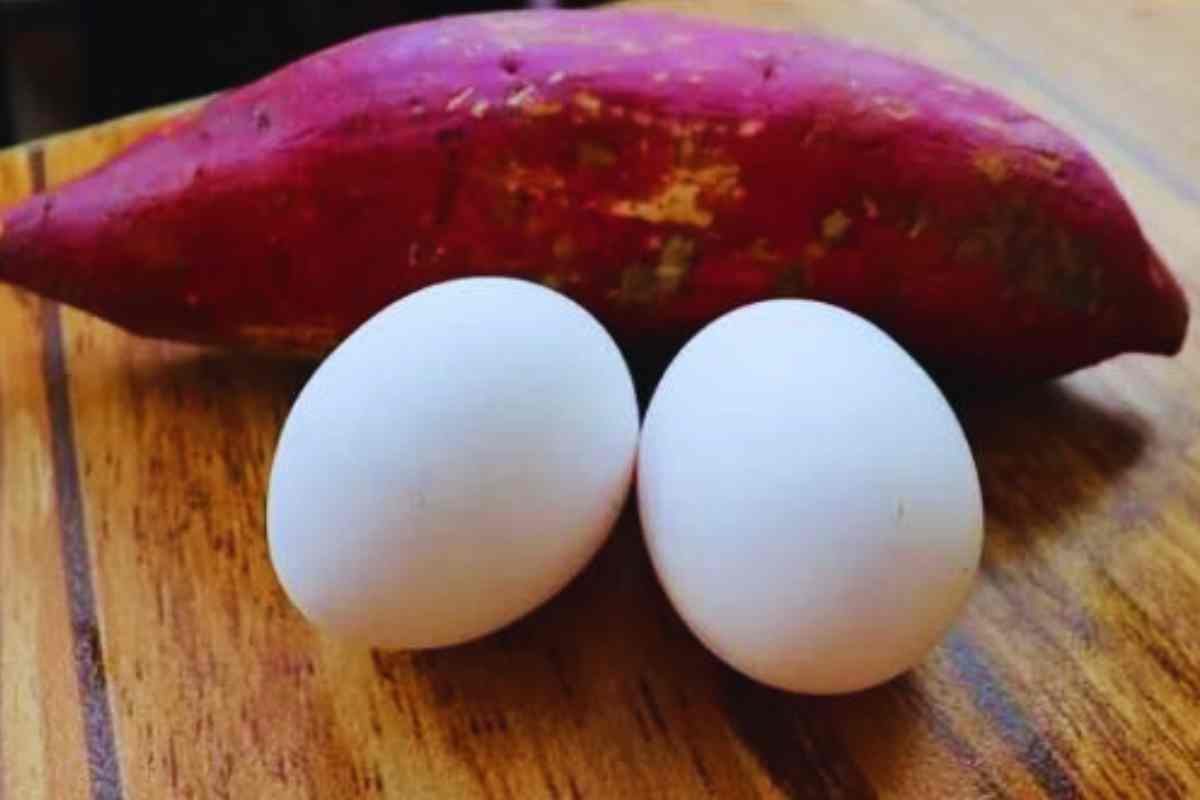 Deixe o Pão de Lado! Receita Saborosa e Nutritiva