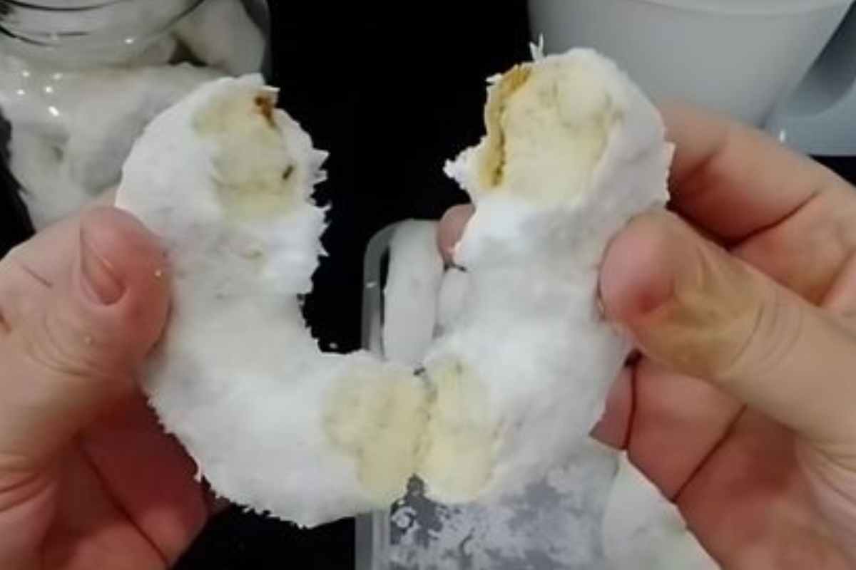 Bolacha Anel ou Rosca! Deliciosa Receita para Saborear