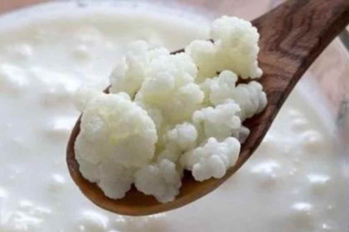 Kefir com Leite Zero Lactose! Uma Opção Saudável e Deliciosa