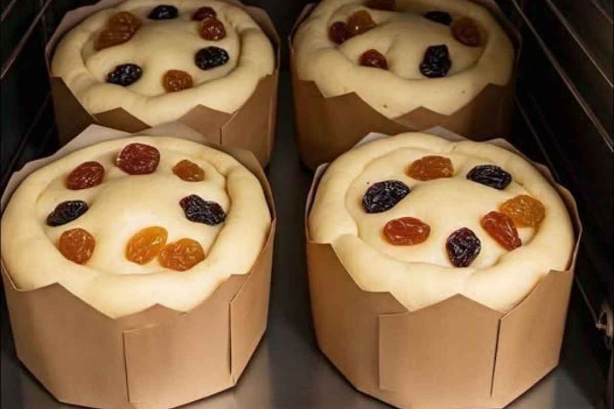 Panetone Caseiro! Uma Receita Tradicional para um Natal Delicioso