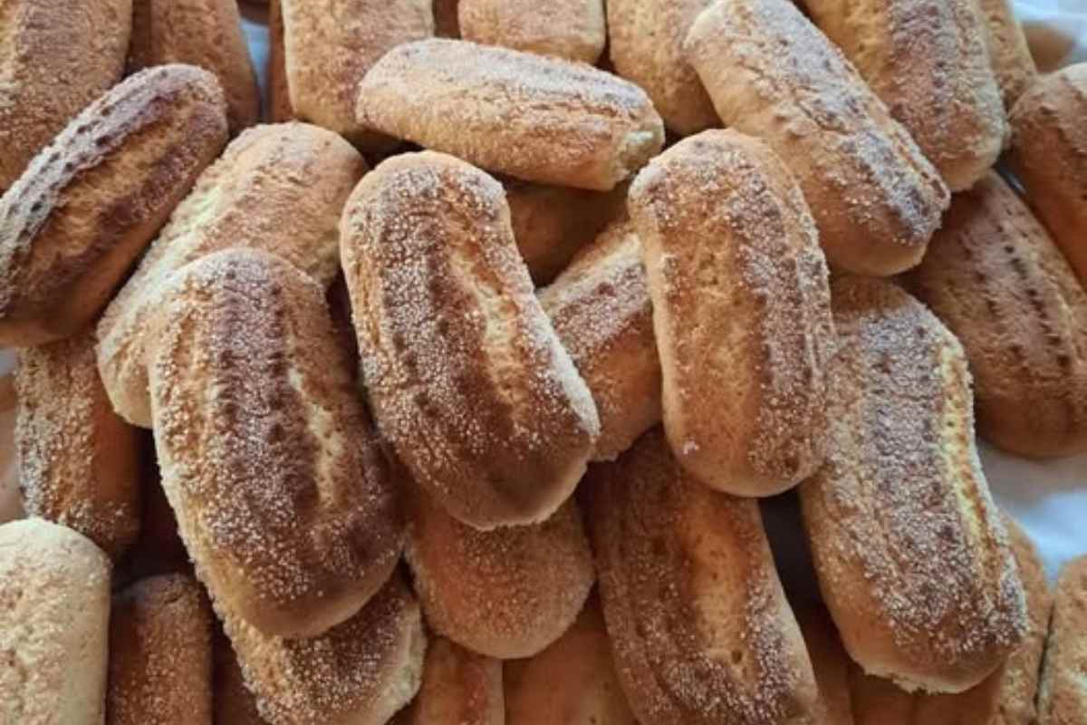 Bolachas Caseiras da Vovó! Tradição de Sabor e Memórias Afetuosas