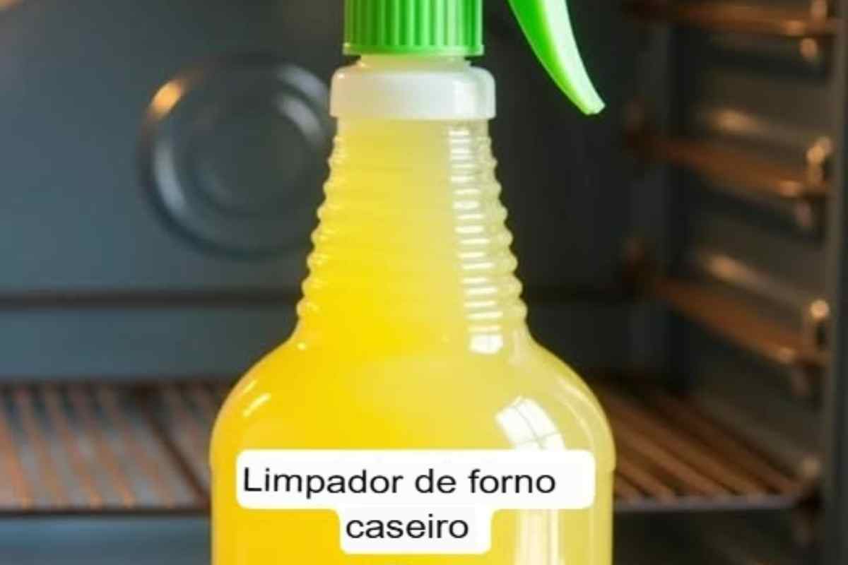 Limpador de Forno Caseiro! Solução Eficaz e Sustentável para Limpeza Doméstica