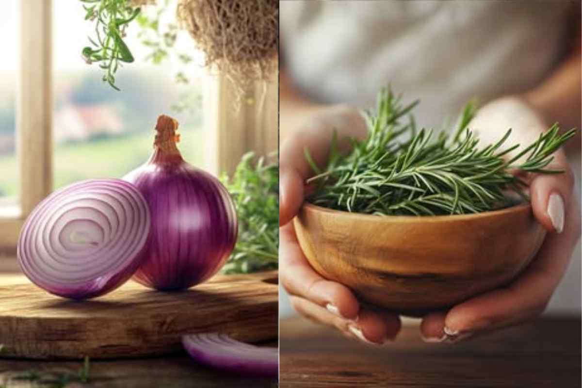 A Planta Milagrosa que Combate a Queda de Cabelo e Revitaliza Seus Fios