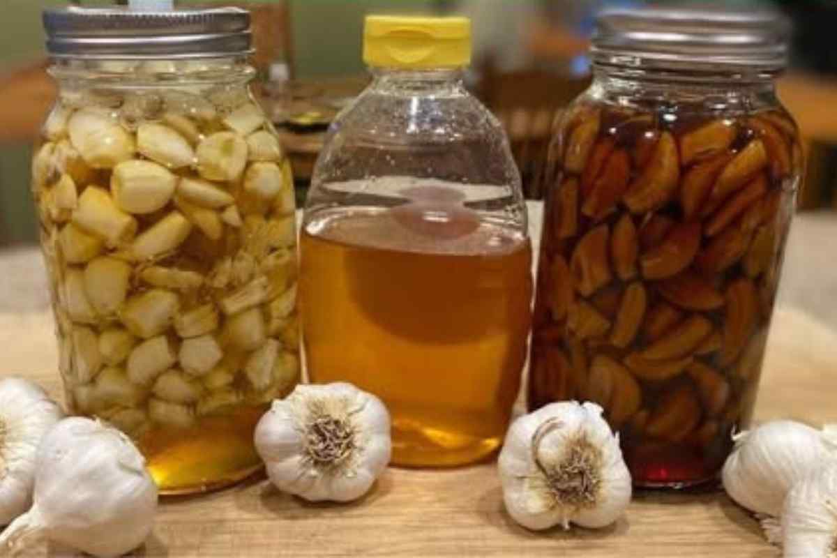Misturar Alho, Mel e Cravo! O Segredo Natural para a Saúde Que Poucos Conhecem