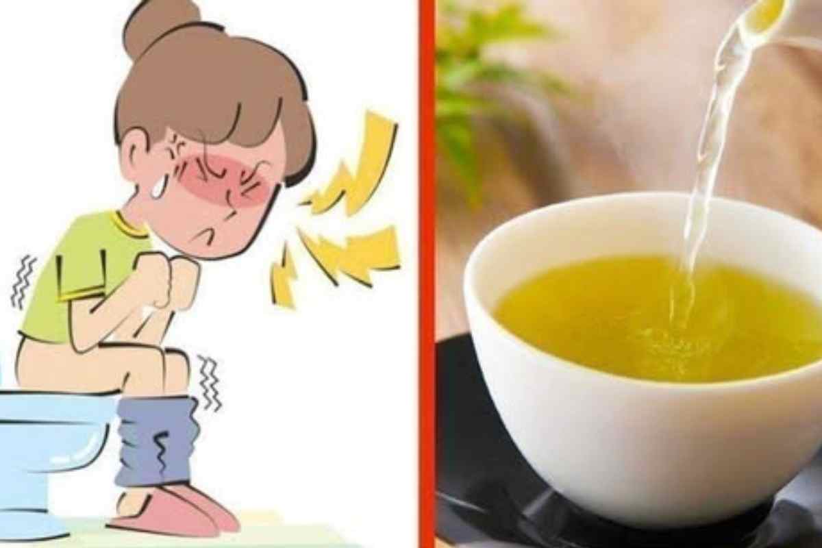 6 Melhores Chás para Intestino Preso! Naturais e Eficazes
