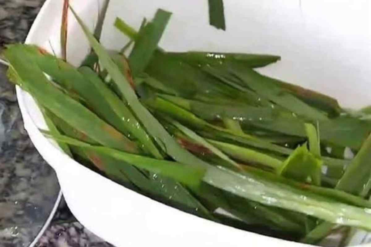 Isso Acaba com Infecção Urinária, Dores e Inflamação nos Rins