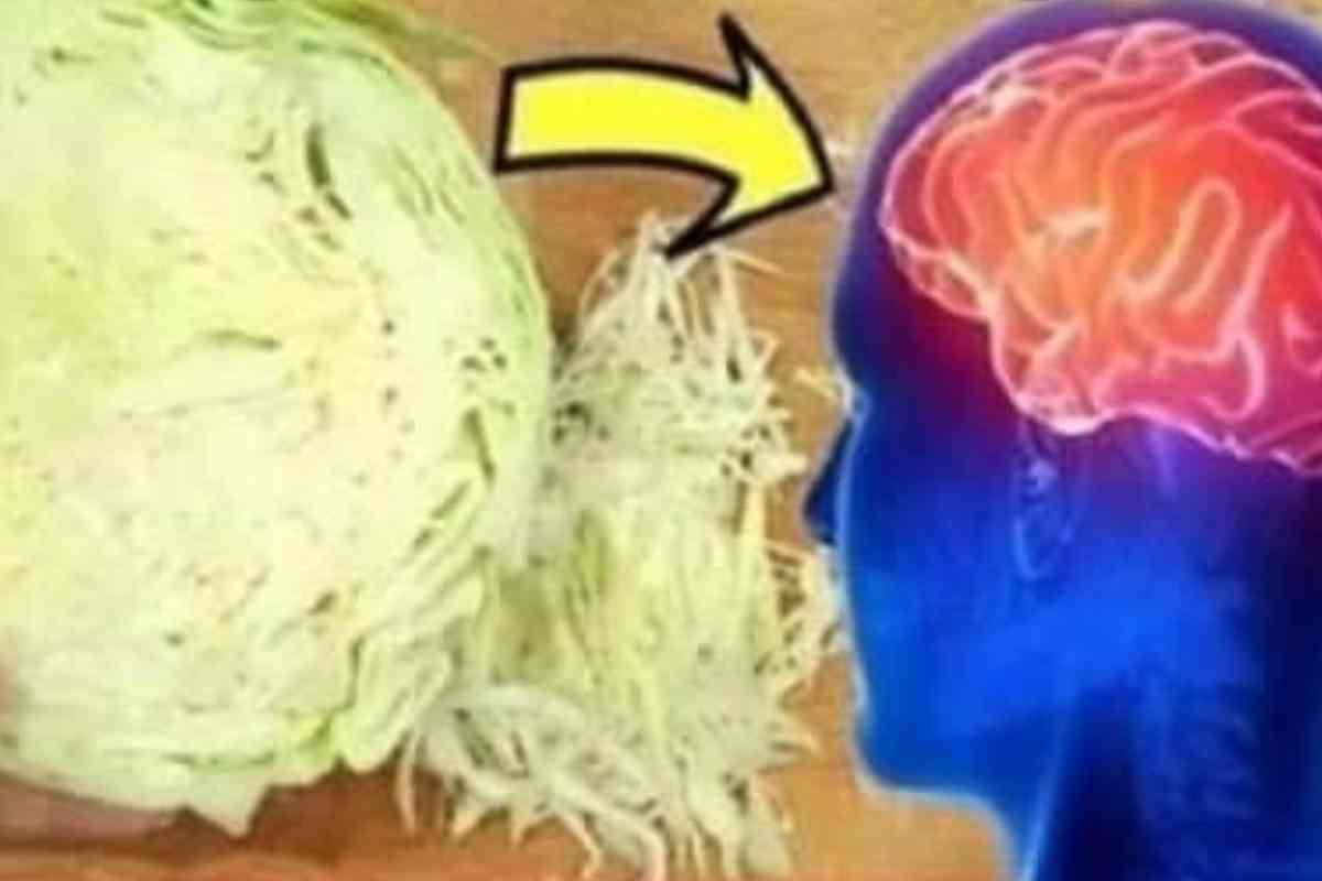 Não faça salada de repolho antes de ver isto você vai ficar surpreso