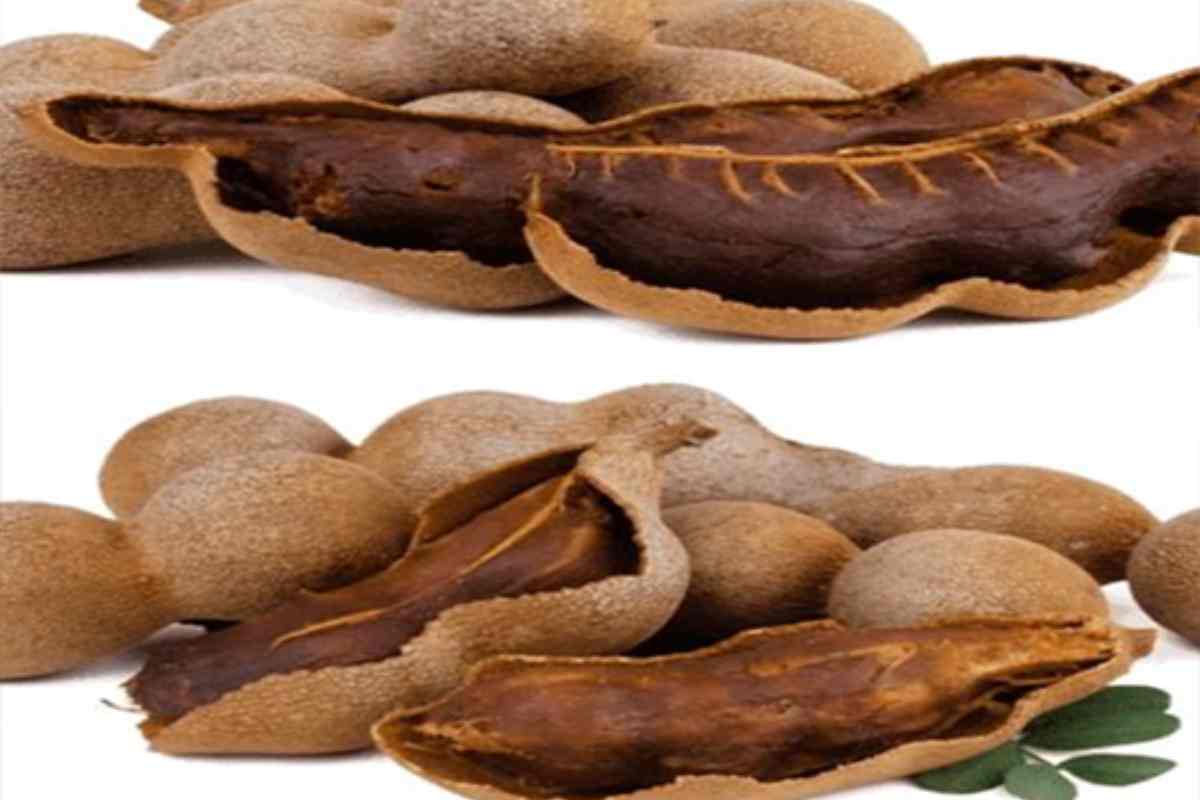 Tamarindo para Baixa o Açúcar no Sangue, Normalizar o Colesterol, Limpar o Fígado e Melhorar a Circulação