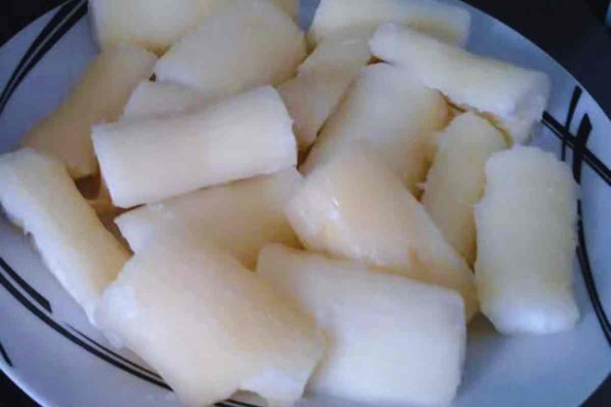 Tóxico se mal preparado: Pode até matar