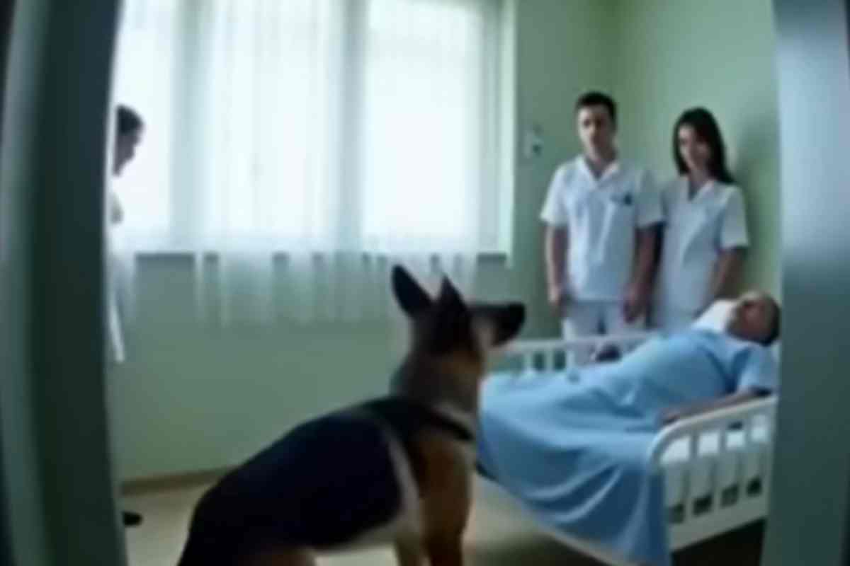 Cachorro Salva Policial em Coma com um Milagre de Lealdade