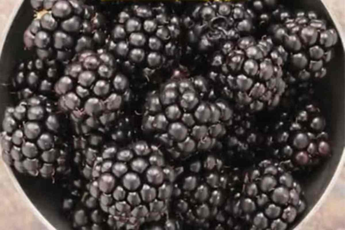 Frutas para Diabetes! 10 Tipos que Reduzem o Açúcar
