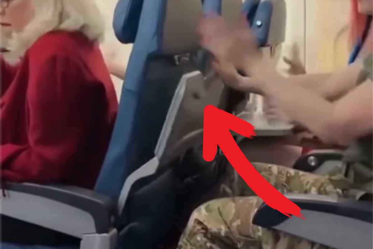 15 Coisas Que Você Nunca Deve Fazer no Ônibus