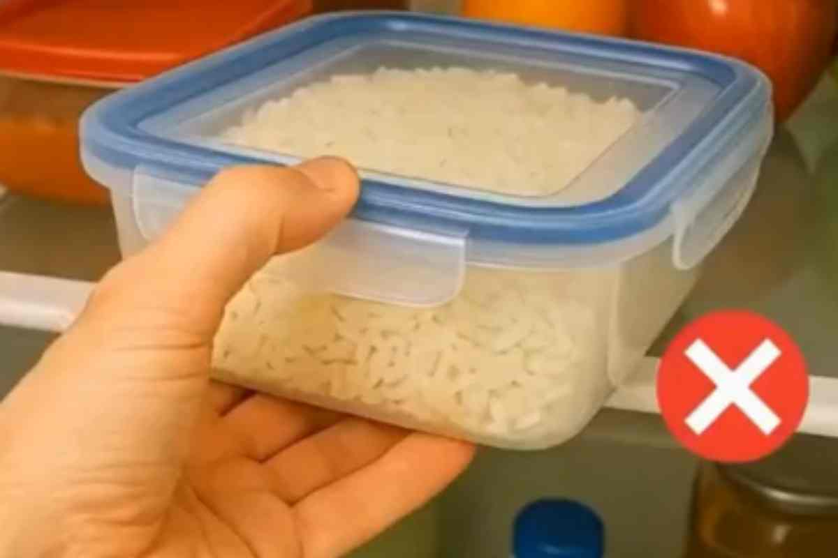 Nunca guarde seu arroz cozido na geladeira