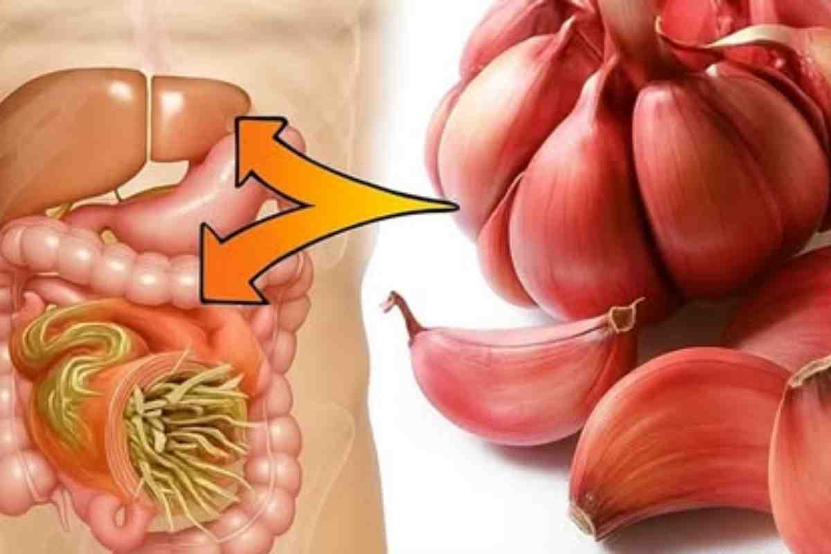 Os Benefícios Noturnos de Comer Alho Cru Antes de Dormir