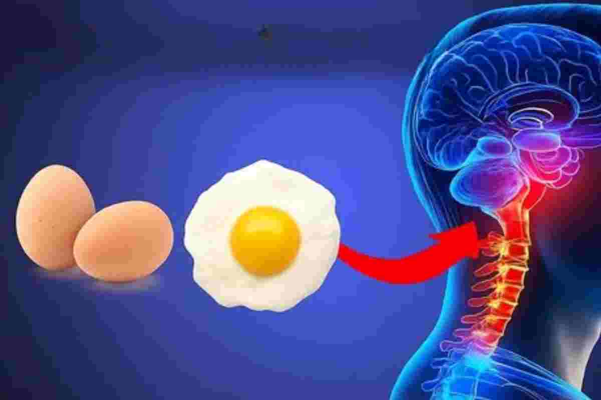 Você Vai Ser Mais Cuidadoso ao Comer Ovos Depois de Conhecer Isso