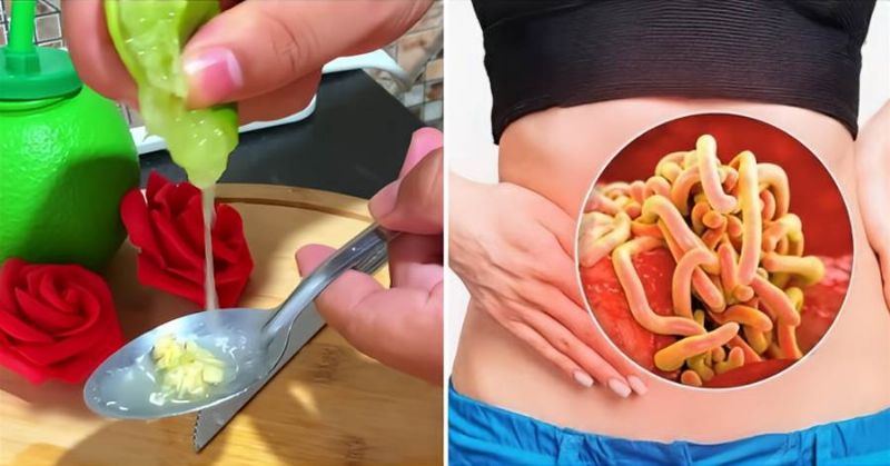 Imagem da Receita
