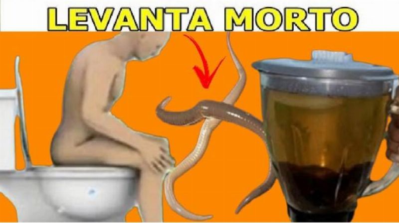 Imagem da Receita