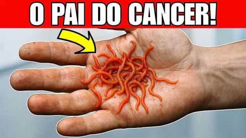 Imagem da Receita