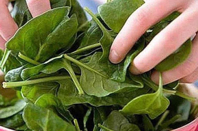 Imagem da Receita