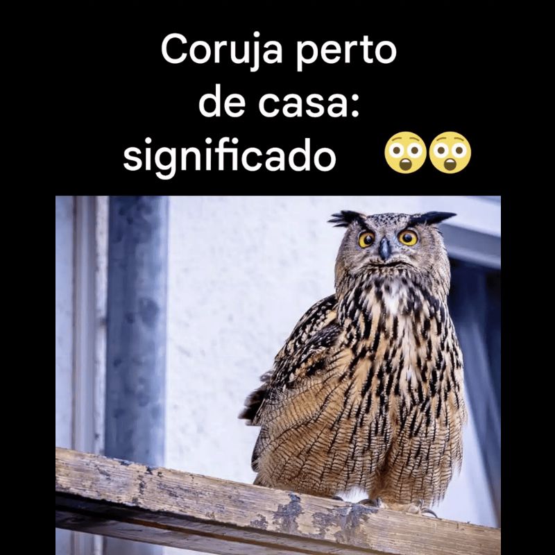 Imagem da Receita